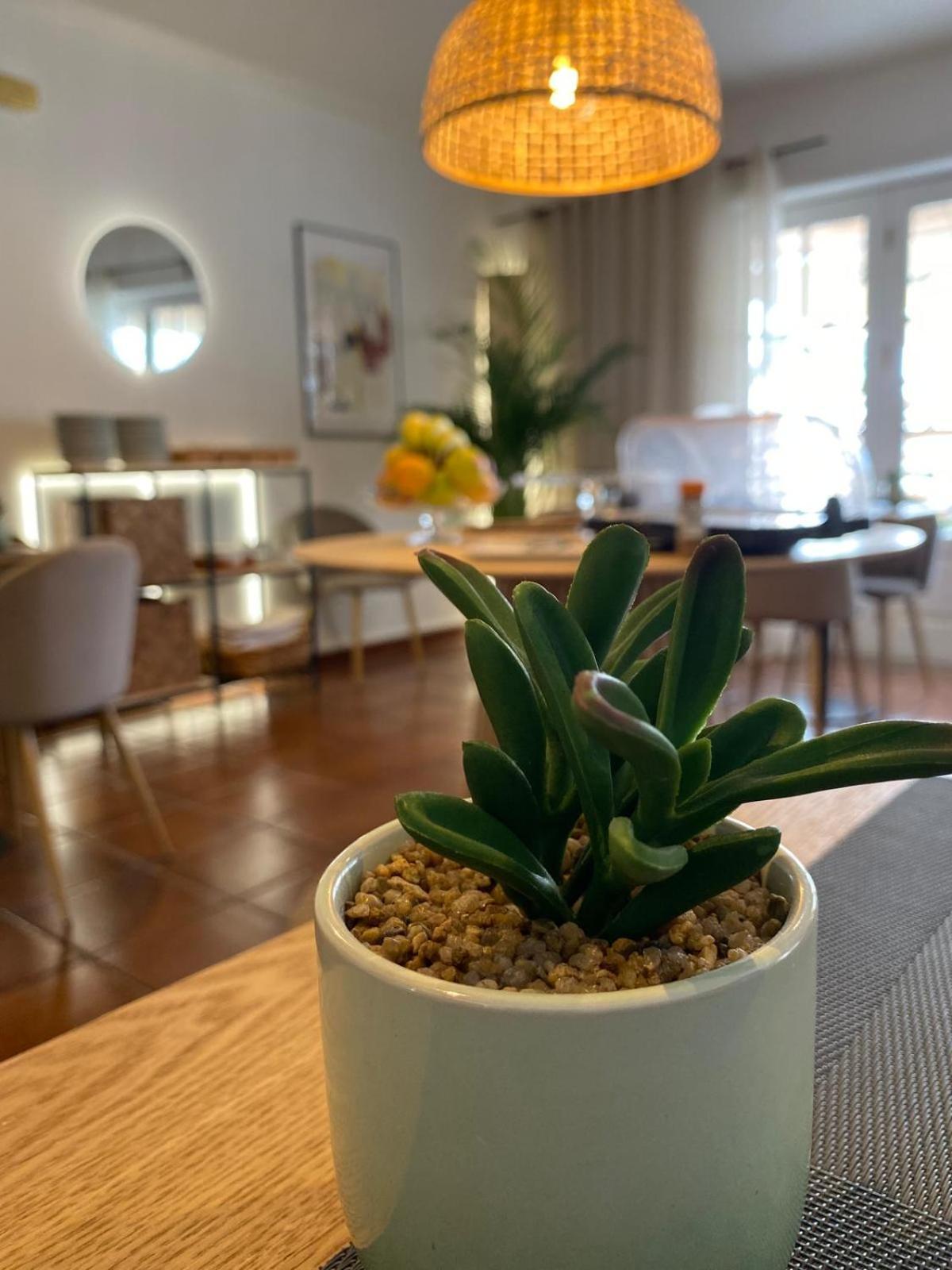 Hotel Residencial Dora Braga Kültér fotó